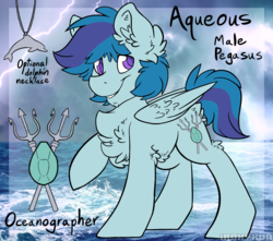 Size: 1801x1593 | Tagged: dead source, safe, artist:php166, oc, oc only, oc:aqueous, dolphin, pegasus, pony, chest fluff, cutie mark, jewelry, male, necklace, reference sheet, solo, stallion, text, wings