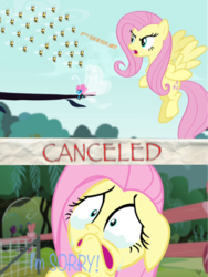 Size: 547x728 | Tagged: safe, fluttershy, seabreeze, bee, breezie, pegasus, pony, g4, cancelled, comic, crying, female, flying, mare, sad, sad fluttershy, text