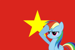 Size: 900x600 | Tagged: safe, artist:trungtranhaitrung, rainbow dash, g4, communism, flag, nation ponies, national flag, ponified, rainbow dash salutes, salute, vietnam