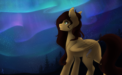 Size: 1300x800 | Tagged: safe, artist:silentwulv, oc, oc only, pegasus, pony, aurora borealis, solo