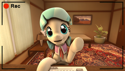 Size: 3840x2160 | Tagged: safe, artist:xppp1n, coco pommel, g4, 3d, high res, solo, source filmmaker, webcam