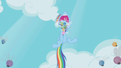 Size: 1280x720 | Tagged: safe, screencap, rainbow dash, parasprite, pony, g4, swarm of the century, female, flying, mare, solo