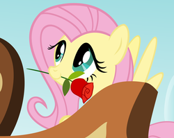 Size: 5440x4320 | Tagged: safe, artist:iknowpony, fluttershy, pegasus, pony, fall weather friends, g4, .svg available, absurd resolution, cute, daaaaaaaaaaaw, female, flower, hnnng, mare, mouth hold, rose, scene interpretation, shyabetes, smiling, solo, spread wings, vector, weapons-grade cute, wings