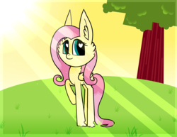 Size: 2132x1648 | Tagged: safe, artist:d3su-k4t, fluttershy, g4, female, solo