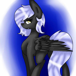 Size: 575x575 | Tagged: safe, artist:sweetmelon556, oc, oc only, oc:cloudy night, pegasus, pony, blue background, gradient background, simple background, solo