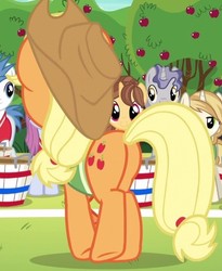 Size: 499x608 | Tagged: safe, screencap, applejack, earth pony, pony, buckball season, g4, butt, cropped, female, mare, plot