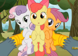 Size: 690x496 | Tagged: safe, screencap, apple bloom, gabby, scootaloo, sweetie belle, earth pony, griffon, pegasus, pony, unicorn, g4, the fault in our cutie marks, animated, cutie mark, cutie mark crusaders, female, female pov, filly, gif, holding a pony, loop, offscreen character, out of context, pov, the cmc's cutie marks
