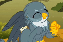 Size: 743x497 | Tagged: safe, screencap, gabby, griffon, g4, season 6, the fault in our cutie marks, animated, behaving like a cat, catbird, cute, eyes closed, female, gabbybetes, gif, griffon scratch, griffons doing cat things, mailbag, paws, scratching, sitting, solo, spread wings