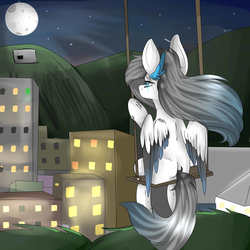 Size: 3000x3000 | Tagged: safe, artist:sunshinejoyyt, oc, oc only, city, high res, house, moon, night, solo, swing