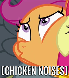 Size: 425x478 | Tagged: safe, edit, edited screencap, screencap, scootaloo, chicken, g4, the fault in our cutie marks, caption, cropped, image macro, meme, reaction image, scootachicken, text