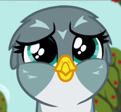 Size: 520x480 | Tagged: safe, screencap, gabby, griffon, g4, the fault in our cutie marks, animated, cute, eye shimmer, female, flying, gabbybetes, gif, happy, looking at you, reaction image, smiling, solo