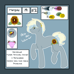 Size: 1000x1000 | Tagged: safe, artist:liefsong, oc, oc only, oc:marigold, reference sheet, sicksona