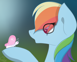 Size: 1000x800 | Tagged: safe, rainbow dash, butterfly, g4, female, solo