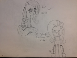 Size: 3264x2448 | Tagged: safe, artist:mranthony2, fluttershy, g4, angry, blushing, cheek fluff, chest fluff, cute, denial, dialogue, female, high res, i'm not cute, looking at you, monochrome, scrunchy face, sitting, solo, traditional art