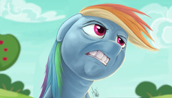 Size: 3000x1711 | Tagged: safe, artist:sea-maas, rainbow dash, buckball season, g4, angry, comparison, donald trump, hoers