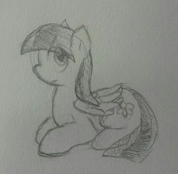 Size: 2057x2007 | Tagged: safe, artist:candel, blossomforth, pony, g4, cute, female, high res, looking at you, monochrome, sketch, solo, traditional art