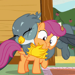 Size: 500x500 | Tagged: safe, screencap, gabby, scootaloo, griffon, pegasus, pony, g4, the fault in our cutie marks, animated, bear hug, duo, duo female, eyes closed, female, floating, gif, hug