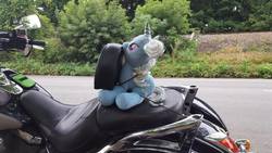 Size: 1328x747 | Tagged: safe, artist:biker dash, trixie, pony, unicorn, g4, female, irl, kawasaki, mare, motorcycle, photo, plushie