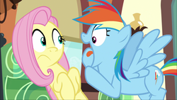 Size: 1920x1080 | Tagged: safe, screencap, fluttershy, rainbow dash, pony, buckball season, g4, context is for the weak, friendship express, open mouth, out of context, rainbow dash is best facemaker, tongue out, train