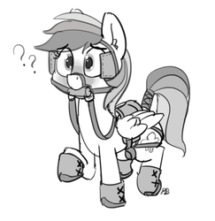 Size: 1280x1315 | Tagged: safe, artist:pabbley, rainbow dash, pegasus, pony, g4, bit, blinders, blushing, bridle, cute, dashabetes, female, grayscale, hoof boots, master, monochrome, question mark, reins, saddle, simple background, solo, tack, tail wrap, white background