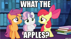 Size: 727x398 | Tagged: safe, edit, edited screencap, screencap, apple bloom, friendship is witchcraft, g4, the fault in our cutie marks, apple, caption