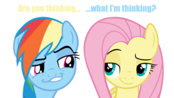 Size: 2400x1350 | Tagged: safe, fluttershy, rainbow dash, g4, ambiguous shipping, ambiguous situation, faic, implied flutterdash, smug, smugdash, smugshy, text