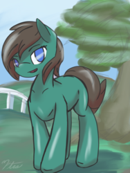 Size: 1536x2048 | Tagged: safe, artist:ytsejam58, oc, oc only, oc:ytse, pony, solo