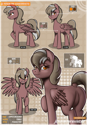 Size: 1024x1462 | Tagged: safe, artist:jcosneverexisted, oc, oc only, oc:copper crescendo, pegasus, pony, butt, dock, featureless crotch, looking at you, plot, raised hoof, reference sheet, smiling, solo