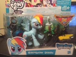 Size: 960x720 | Tagged: safe, rainbow dash, tank, g4, grin, guardians of harmony, irl, photo, smiling, smirk, toy
