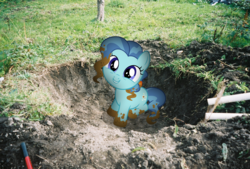 Size: 1818x1228 | Tagged: safe, artist:harvydraws, petunia paleo, earth pony, pony, g4, the fault in our cutie marks, backyard, cute, digging, dirty, hole, irl, petuniabetes, photo, photoshop, ponies in real life, solo, vector, weapons-grade cute
