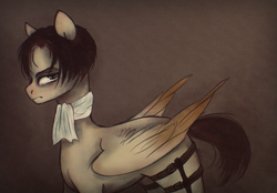 Size: 1431x998 | Tagged: safe, artist:vetallie, pegasus, pony, attack on titan, levi ackerman, ponified, solo