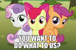 Size: 915x604 | Tagged: safe, edit, edited screencap, screencap, apple bloom, scootaloo, sweetie belle, g4, the fault in our cutie marks, adorabloom, caption, cute, cutealoo, cutie mark crusaders, diasweetes, image macro, looking at you, meme, sitting, this will end in jail time, this will end in tears and/or death and/or covered in tree sap