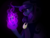 Size: 1024x768 | Tagged: safe, artist:justarandomrtist, princess luna, spirit of hearth's warming yet to come, alicorn, pony, g4, black background, cape, clothes, female, simple background, solo