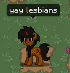 Size: 274x289 | Tagged: safe, oc, oc only, pony, pony town, implied lesbian, screenshots