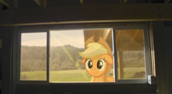 Size: 1600x871 | Tagged: safe, artist:appleandmuffin, artist:lahirien, applejack, g4, floppy ears, irl, photo, ponies in real life, solo, vector