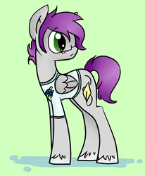 Size: 2450x2975 | Tagged: safe, artist:kyanchan, oc, oc only, pegasus, pony, clothes, glasses, high res, shirt, solo