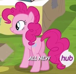 Size: 389x379 | Tagged: safe, screencap, pinkie pie, earth pony, pony, g4, trade ya!, butt, cropped, female, hub logo, mare, plot, solo