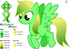 Size: 2966x2048 | Tagged: safe, artist:arifproject, oc, oc only, oc:ketupat pony, pony, high res, reference sheet