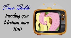 Size: 1400x750 | Tagged: safe, fluttershy, g4, butt, meme, plot, television