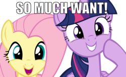Size: 14044x8661 | Tagged: safe, fluttershy, twilight sparkle, alicorn, pony, g4, absurd resolution, meme, simple background, transparent background, twilight sparkle (alicorn), vector