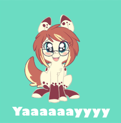 Size: 500x510 | Tagged: safe, artist:indiefoxtail, oc, oc only, animated, eye shimmer, gif, glasses, sitting, solo, yay