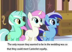 Size: 1280x914 | Tagged: safe, edit, edited screencap, screencap, lyra heartstrings, minuette, twinkleshine, pony, unicorn, a canterlot wedding, g4, my little pony: friendship is magic, caption, text