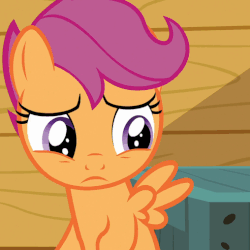 Size: 508x508 | Tagged: safe, screencap, scootaloo, pony, g4, the fault in our cutie marks, animated, female, gif