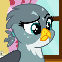Size: 504x503 | Tagged: safe, screencap, gabby, griffon, g4, the fault in our cutie marks, animated, blinking, confused, female, gif, raised eyebrow, solo