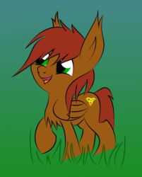 Size: 834x1038 | Tagged: safe, artist:lelazybeamy, oc, oc only, oc:lunarhaven, pegasus, pony, chibi, cute, cutie mark, fluffy, happy, male, smiling