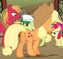 Size: 363x340 | Tagged: safe, screencap, apple bloom, applejack, big macintosh, granny smith, earth pony, pony, g4, the super speedy cider squeezy 6000, butt, cropped, female, filly, male, mare, plot, stallion