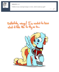Size: 520x630 | Tagged: safe, artist:victoreach, oc, oc only, oc:honey wound, pegasus, pony, ask, clothes, collar, race swap, tumblr, wings