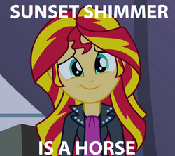 Size: 796x706 | Tagged: safe, edit, edited screencap, screencap, sunset shimmer, horse, equestria girls, g4, captain obvious, caption, female, meme, solo