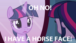 Size: 1920x1080 | Tagged: safe, twilight sparkle, equestria girls, g4, hoers, image macro, meme, mirror