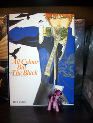 Size: 750x1000 | Tagged: safe, artist:tite kubo, twilight sparkle, g4, bleach (manga), book, female, irl, kurosaki ichigo, photo, toy
